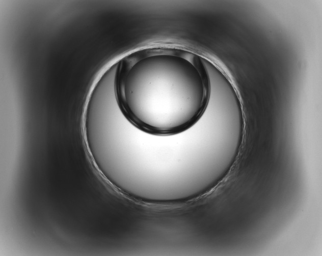 X0000098071344200804110915