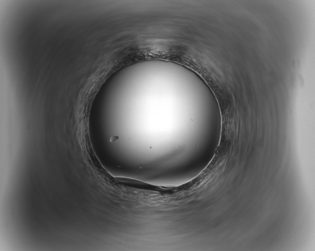 X0000098071345200804110914