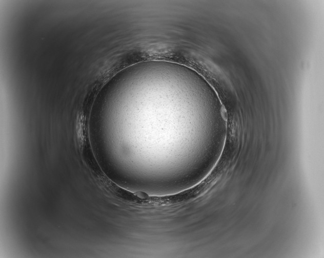 X0000098071346200804110914