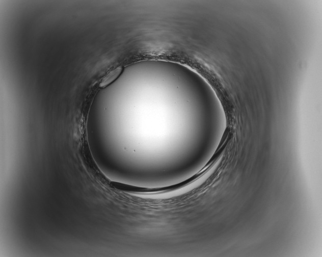 X0000098071349200804110914