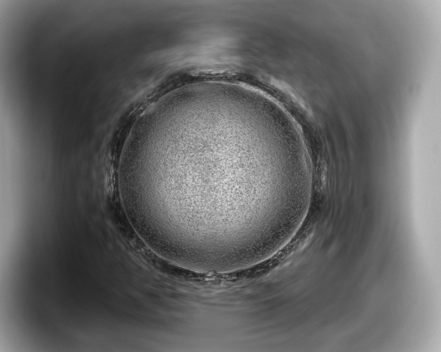 X0000098071350200804110914