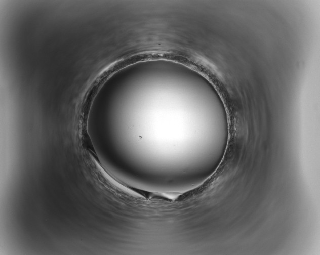 X0000098071352200804110914