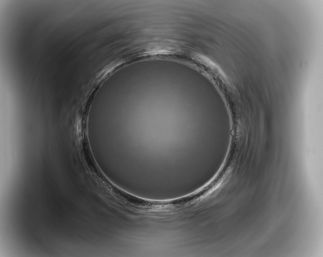 X0000098071353200804110914