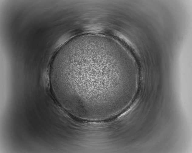 X0000098071354200804110914