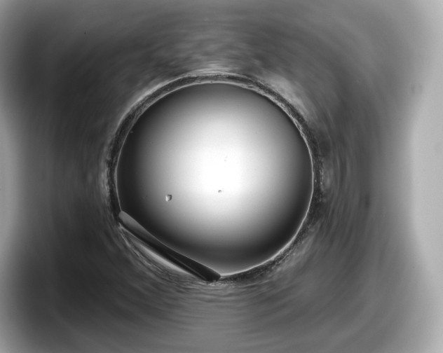 X0000098071356200804110914