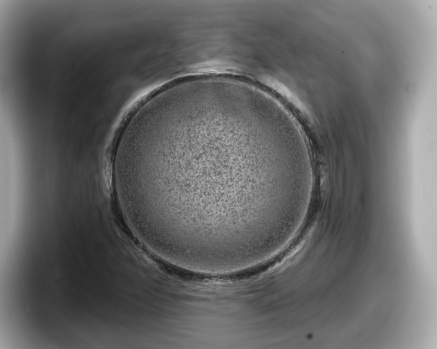 X0000098071358200804110914