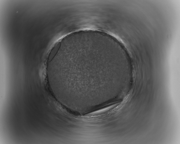 X0000098071359200804110914