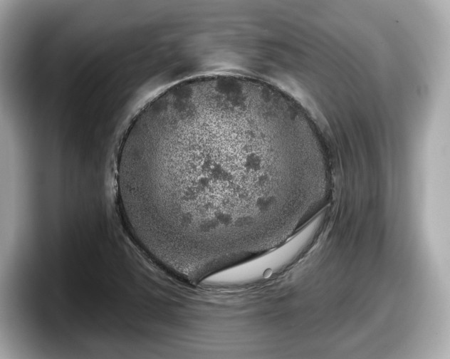 X0000098071363200804110914