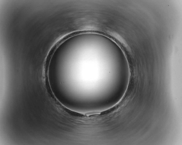 X0000098071364200804110914