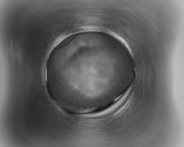 X0000098071365200804110914