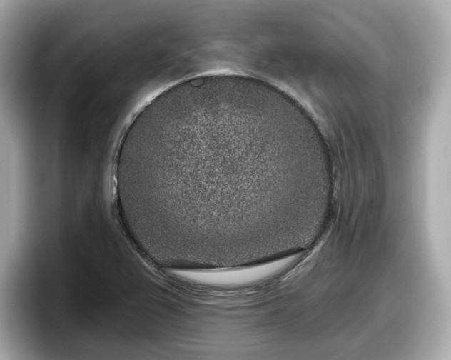 X0000098071367200804110914