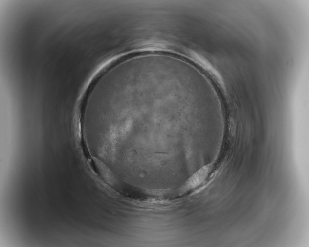 X0000098071368200804110914