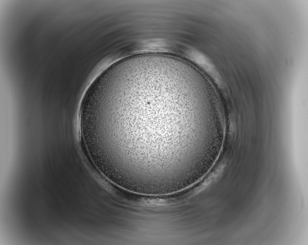 X0000098071370200804110914