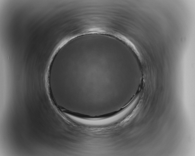 X0000098071373200804110914