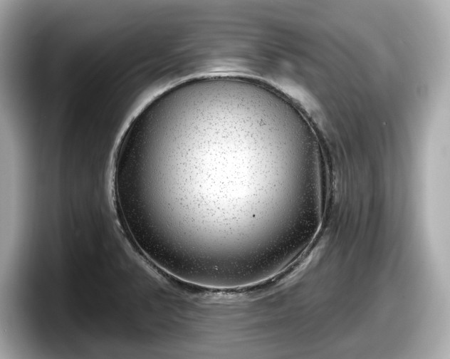 X0000098071374200804110914