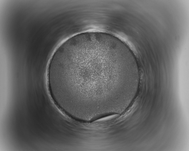 X0000098071375200804110914