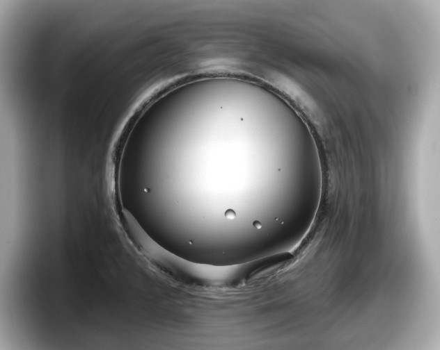 X0000098071376200804110914