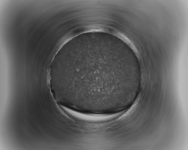 X0000098071377200804110914