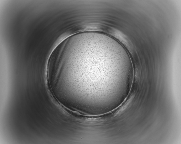 X0000098071378200804110914