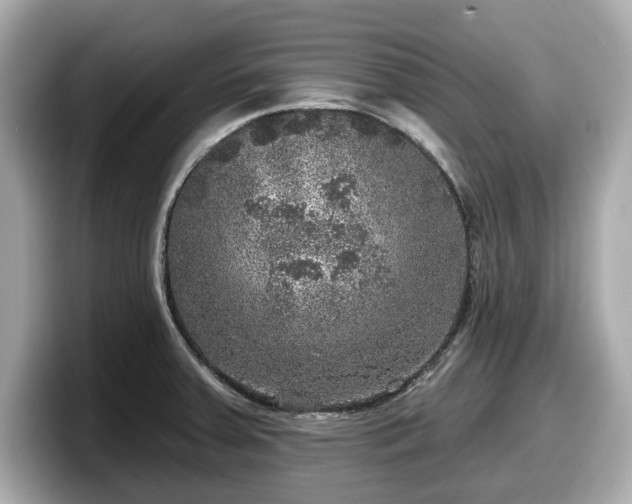 X0000098071379200804110914