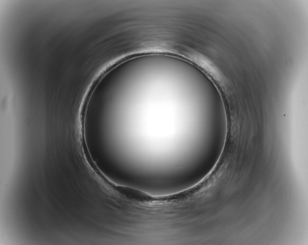 X0000098071380200804110914