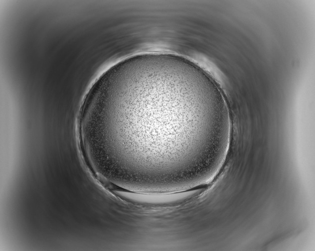 X0000098071382200804110914