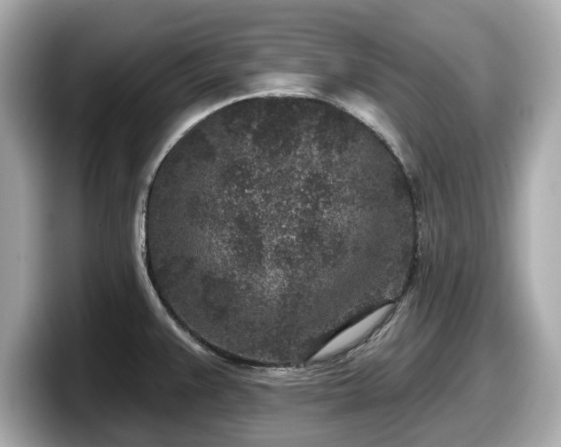 X0000098071383200804110914