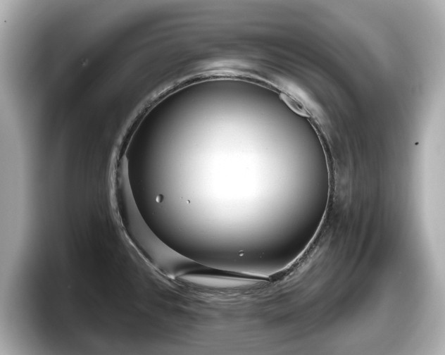 X0000098071384200804110914