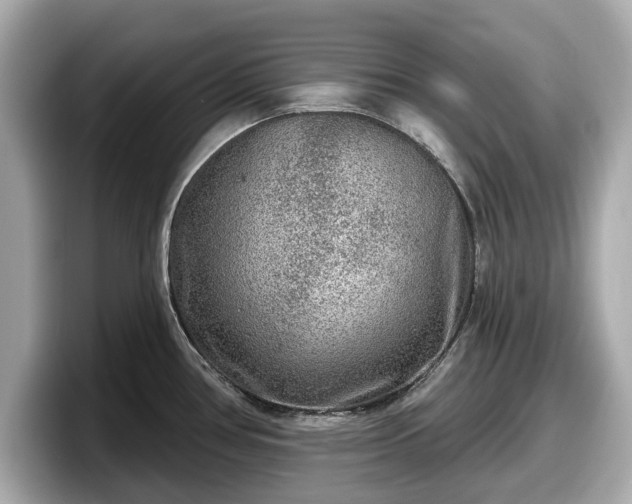 X0000098071386200804110914