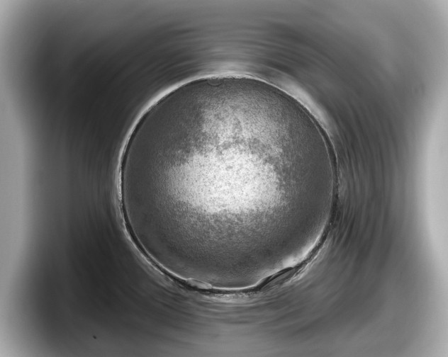 X0000098071388200804110914