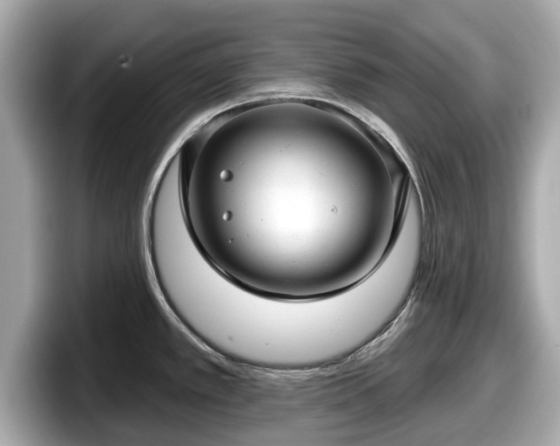 X0000098071389200804110914