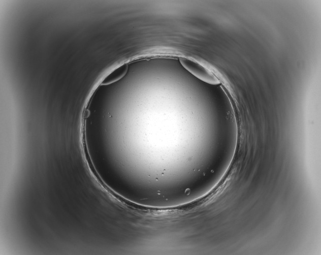 X0000098071390200804110914