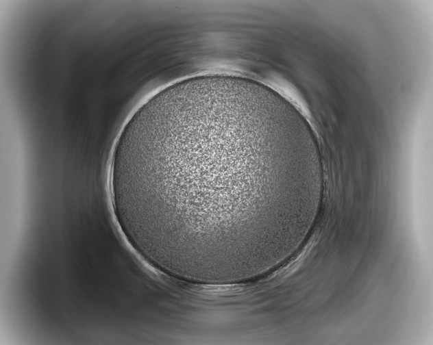 X0000098071391200804110914