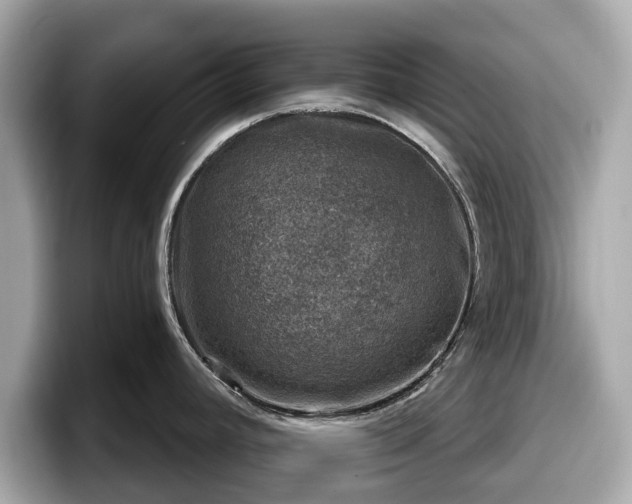 X0000098071392200804110914