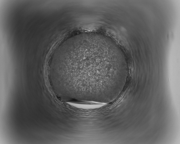 X0000098071393200804110913