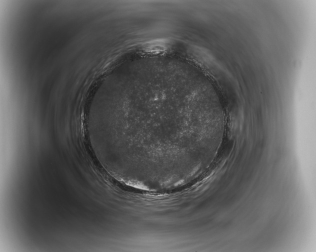 X0000098071394200804110913