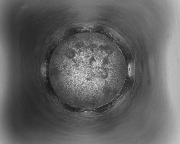 X0000098071395200804110913