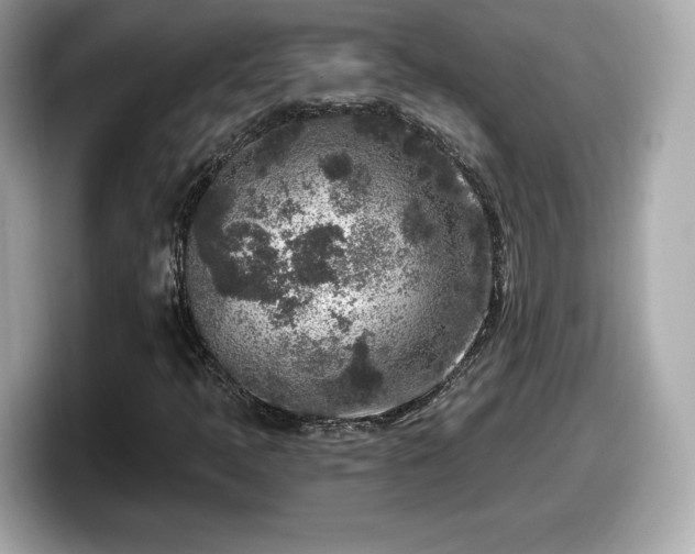 X0000098071397200804110913