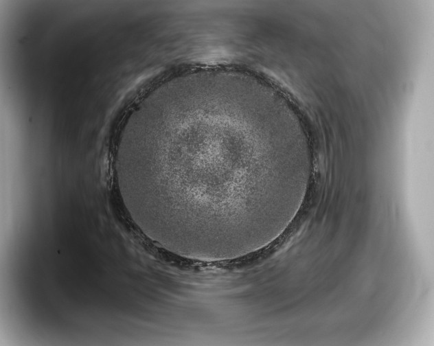 X0000098071398200804110913