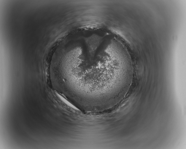 X0000098071399200804110913