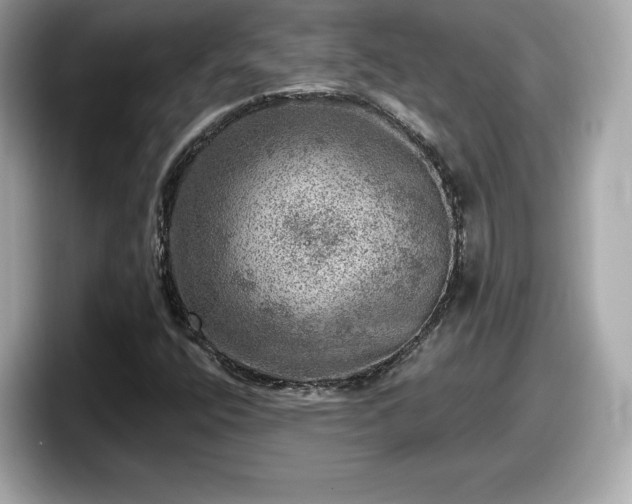 X0000098071400200804110913