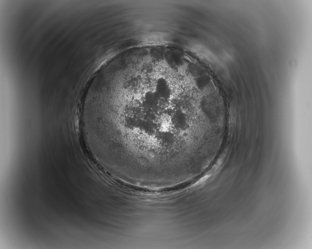 X0000098071401200804110913