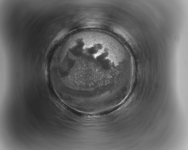 X0000098071403200804110913