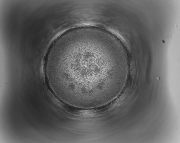 X0000098071404200804110913