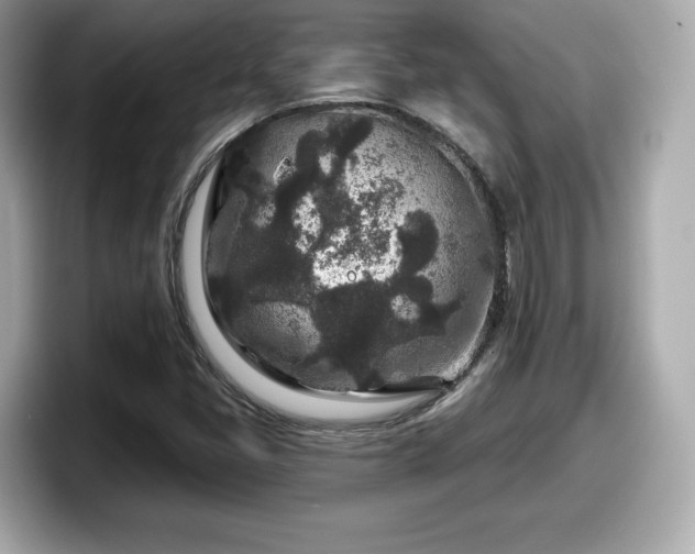 X0000098071405200804110913