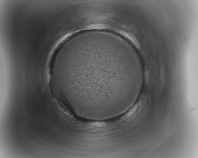 X0000098071406200804110913