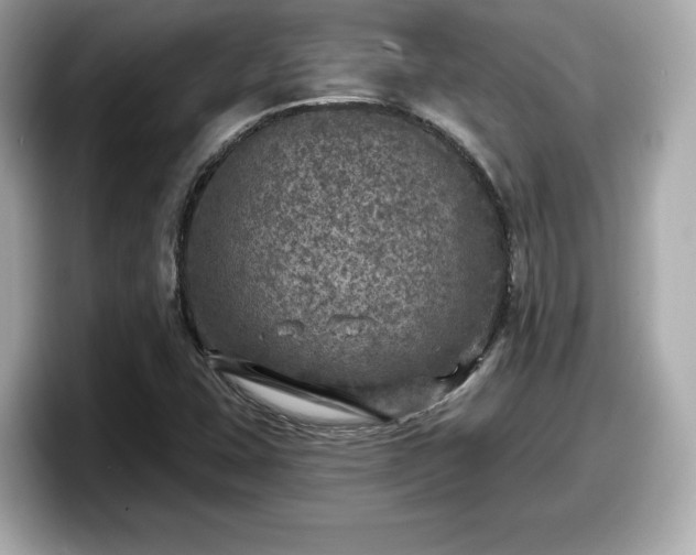 X0000098071407200804110913