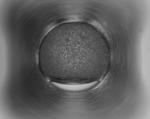 X0000098071409200804110913