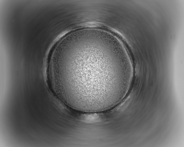 X0000098071410200804110913