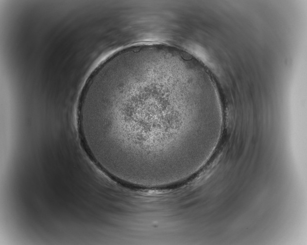 X0000098071412200804110913